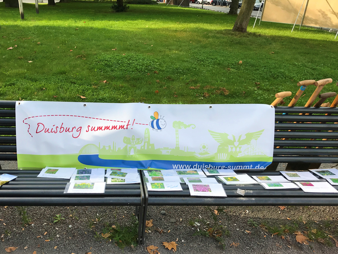 September 2021 – Together we can bee more