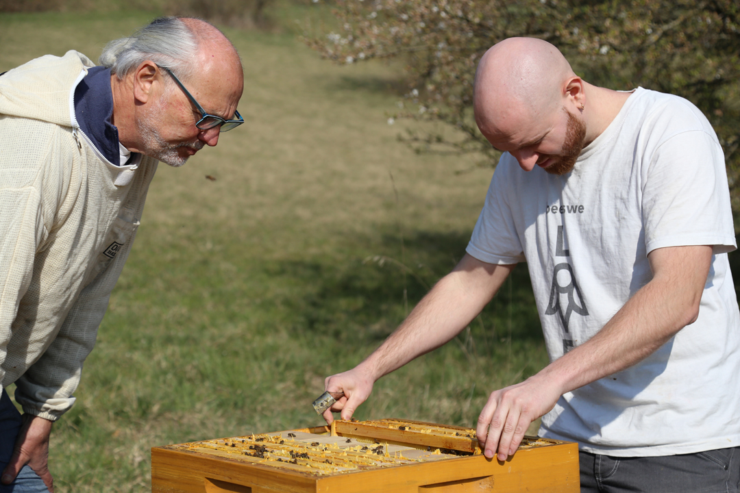 April 2022 – Our bees are healthy and happy