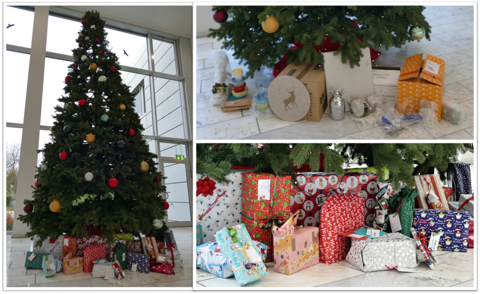 Wishing Tree 2019