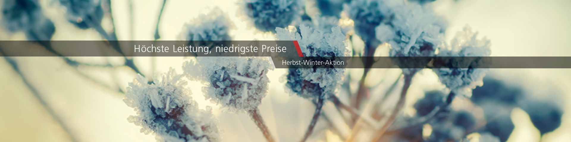 Preisaktion für Spektroskopie und Gas Chromatographie