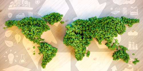 carbon neutrality