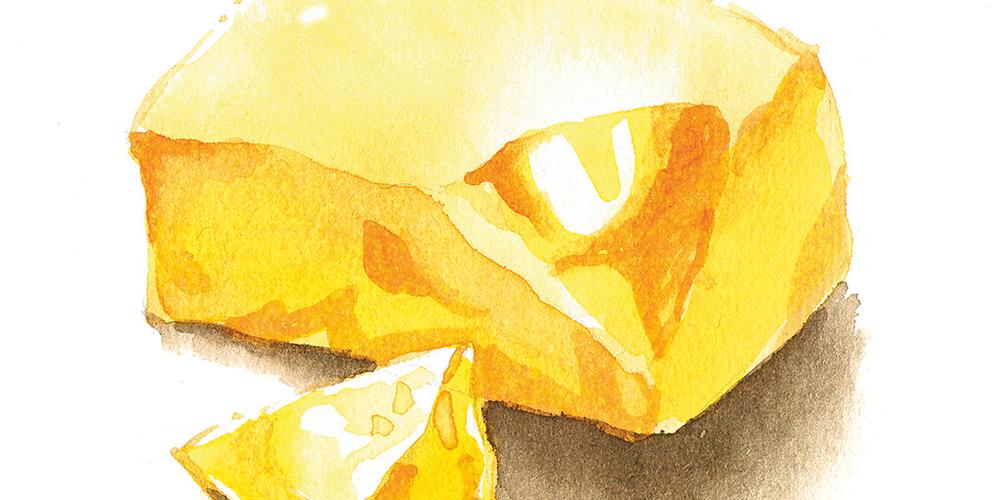 LEBENSMITTELFETT-Analyse-Geschichte von Shimadzu