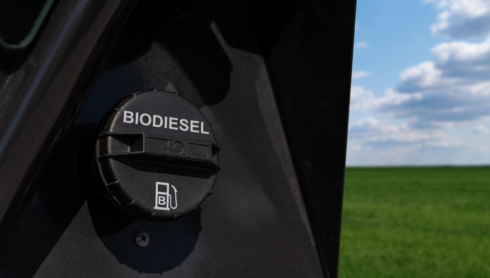Biodiesel