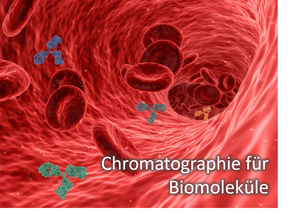 chromatographie biomoleküle text