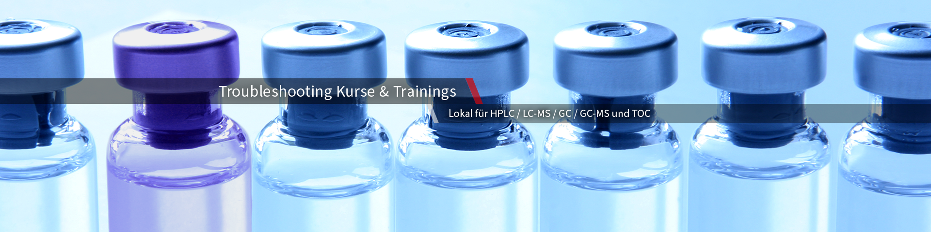 Kurse & Trainings