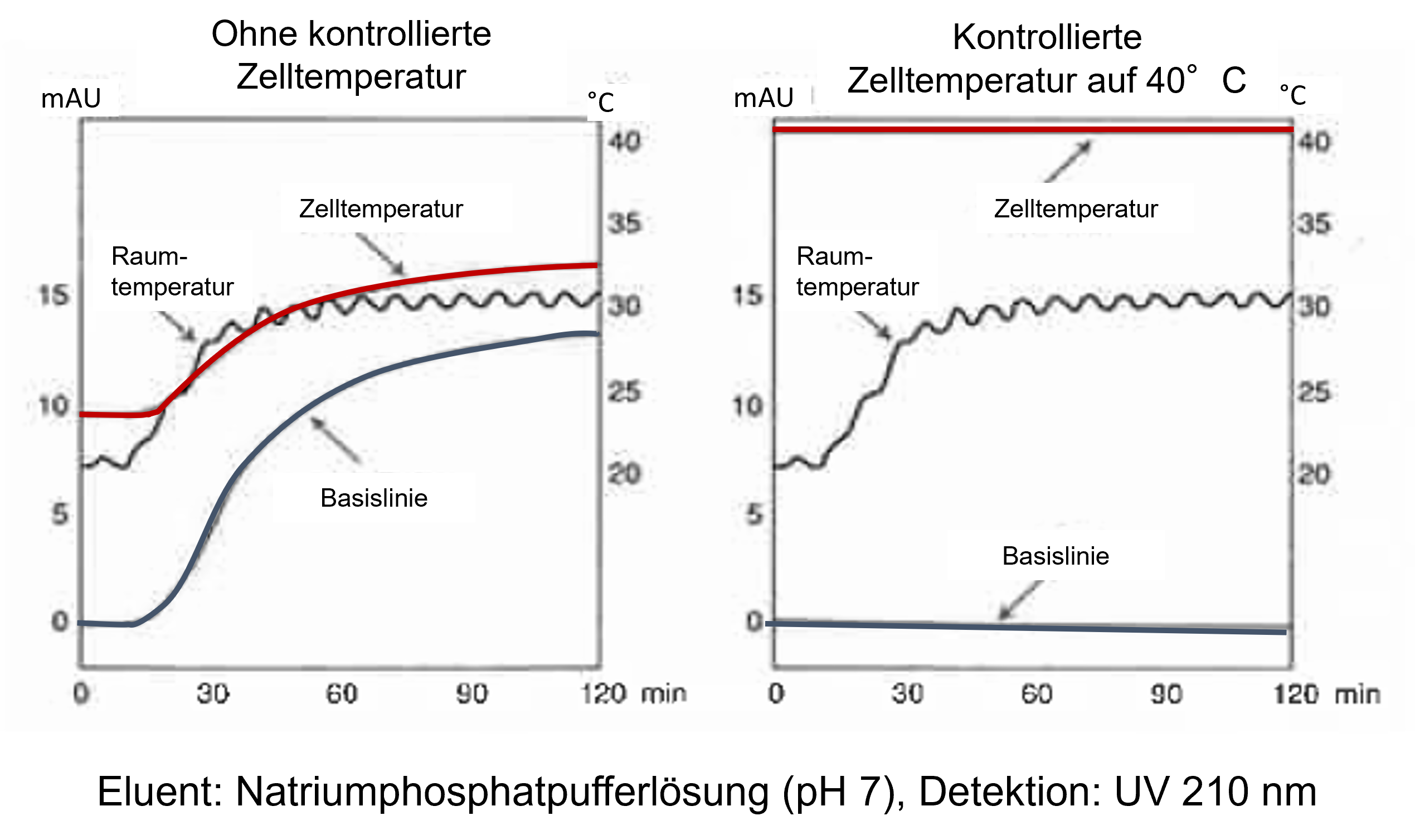 Zelltemperatur Kontrolle