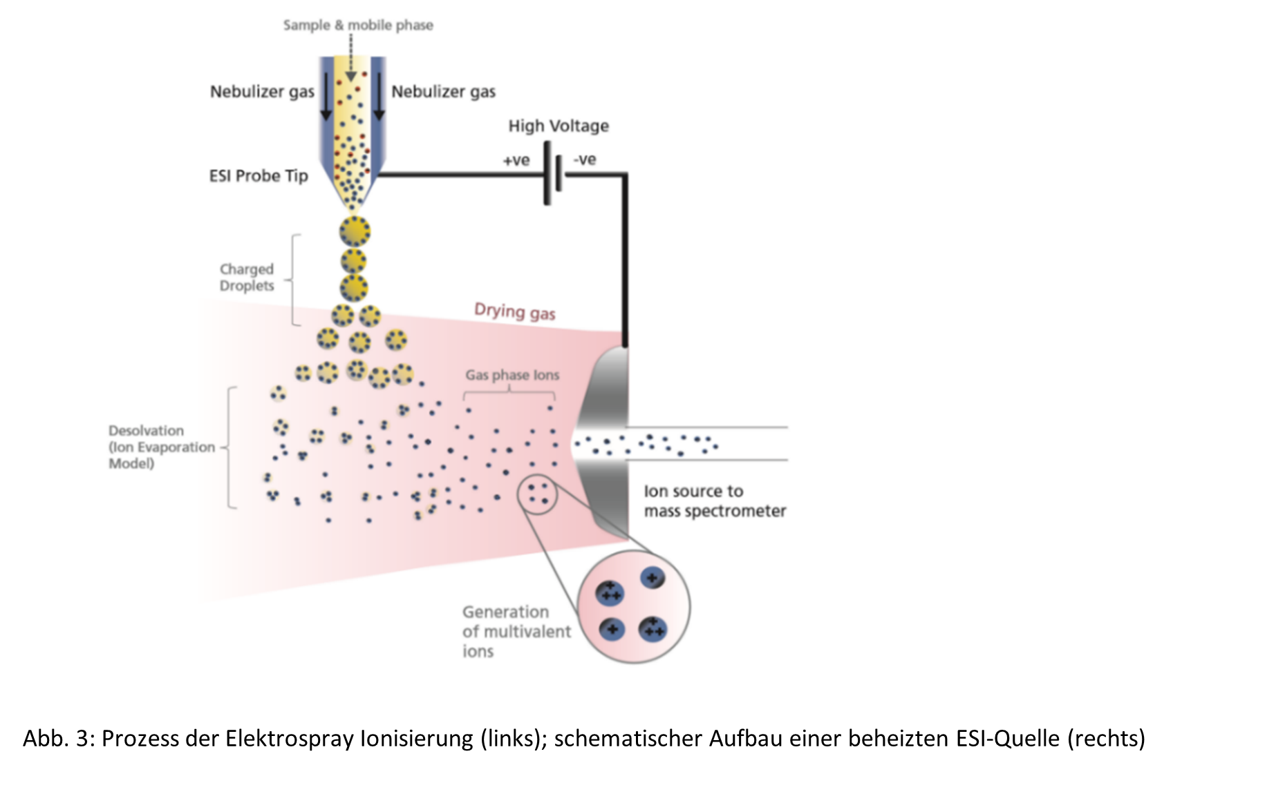 ESI – Electrospray Ionization