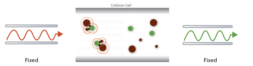Selected Reaction Monitoring (SRM)