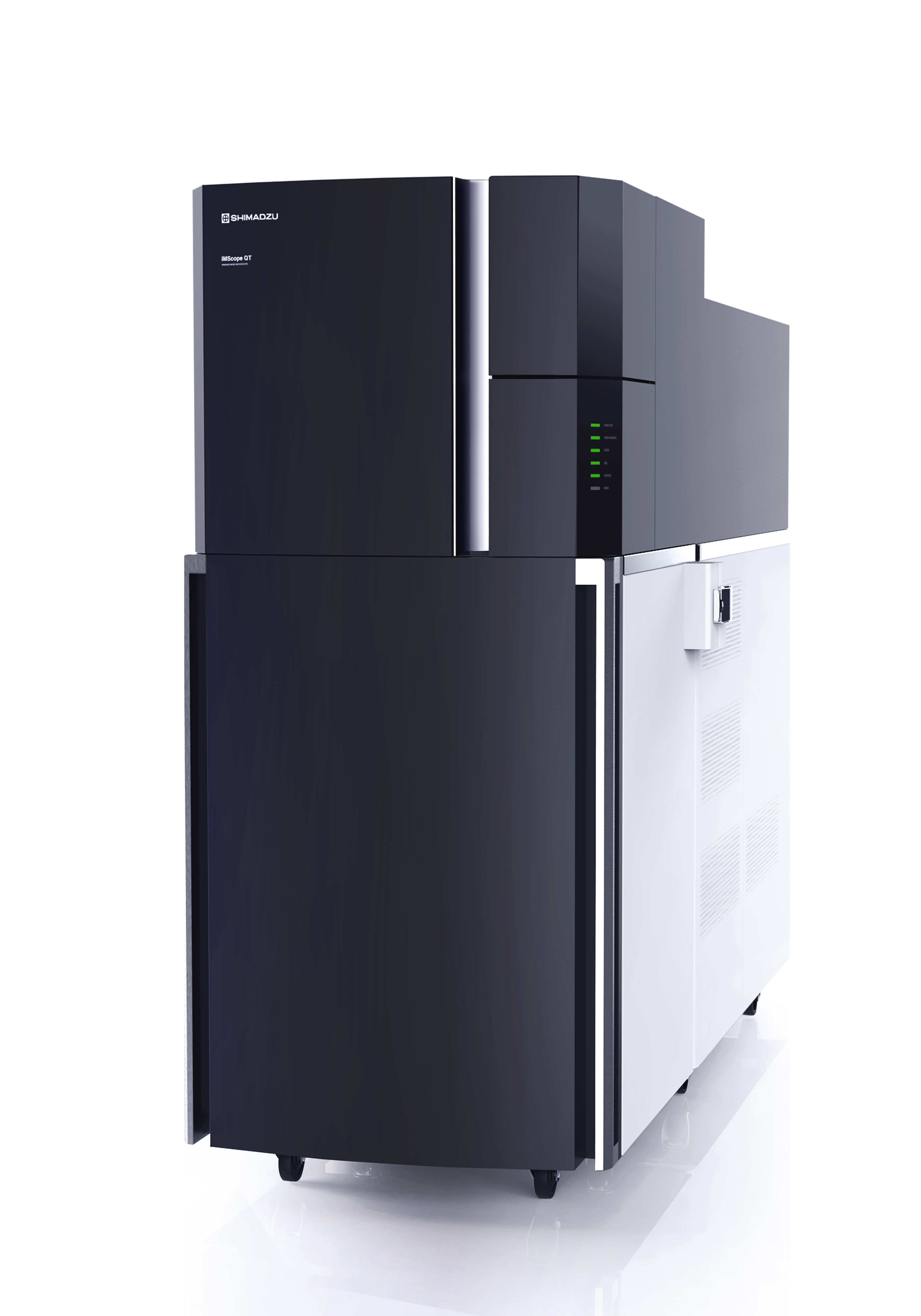 MALDI-MS Imaging 