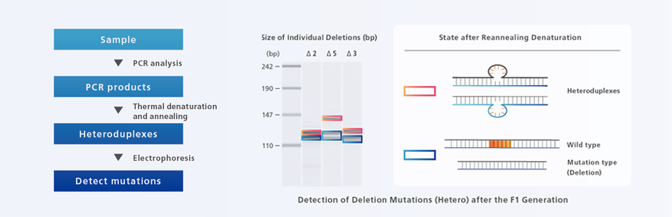 multiNA II MCE-301 Shimadzu