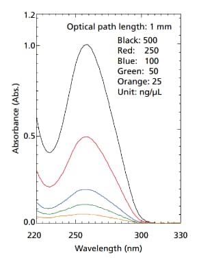Spektrum von λDNA