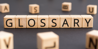 Glossar