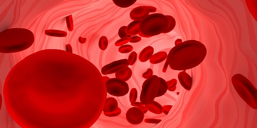 Blutanalyse im klinischen Umfeld