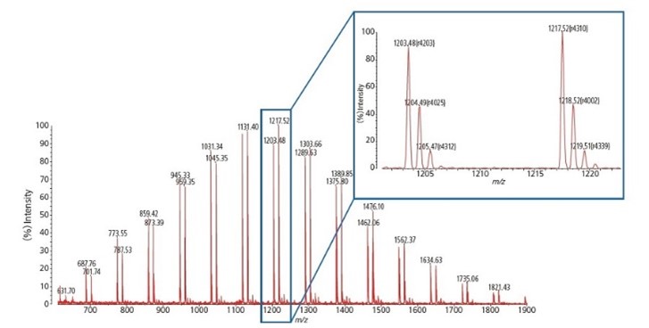 Beispiel der Analyse eines Peptids mit der Masse 4,2 kDa. Die in der Software berechnete Auflösung ist durch die Werte in Klammern dargestellt.