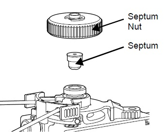 Septumeinbau