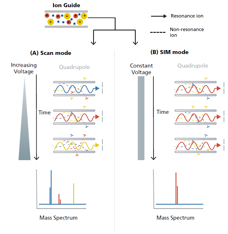 Theorie der Massenspektrometrie - Part 2 | SHIMADZU DEUTSCHLAND