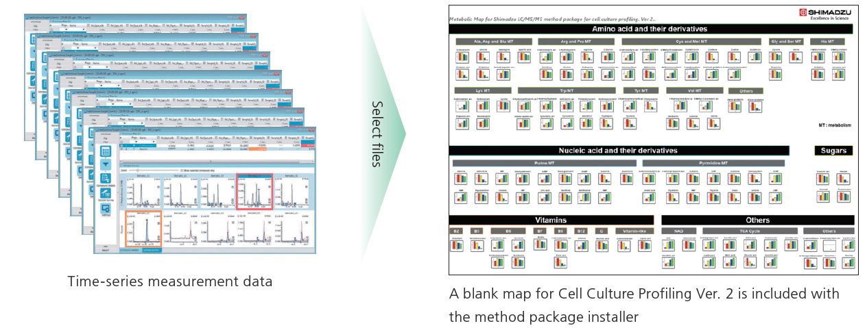 Zellkulturprofiling: Time-series measurement data