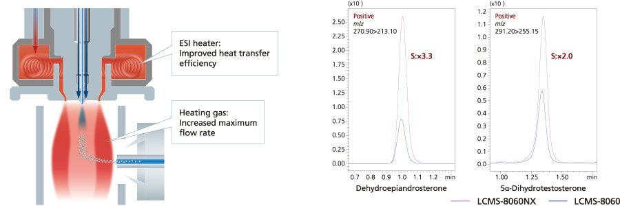 Querschnitt des heizgasunterstützten Quellendesigns mit Vergleichschromatogrammen zwischen LCMS-8060NX & LCMS-8060