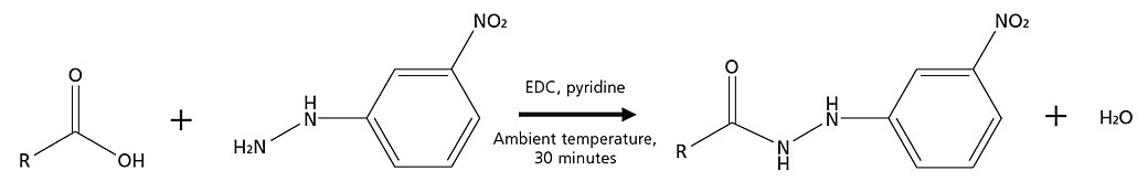 Derivatization Reaction with 3-nitrophenylhdyrazine (3-NPH)