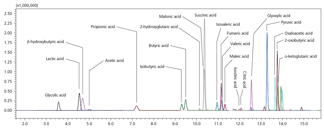 Chromatogramm mit allen Fettsäuren