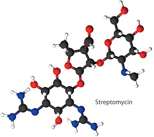 Streptomycin 3D-Darstellung von Streptomycin