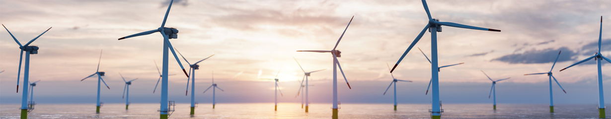 Erneuerbare Energie