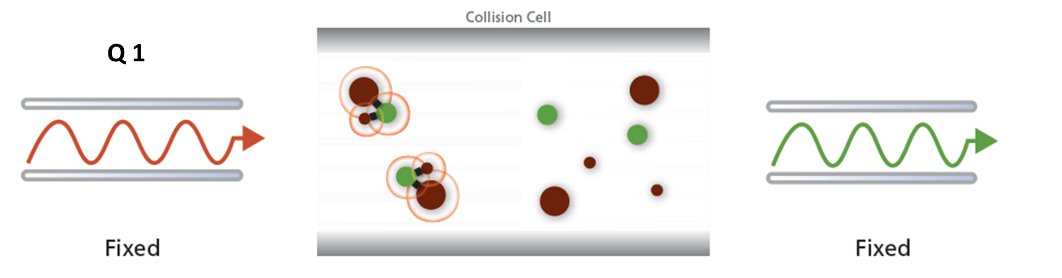 Selected Reaction Monitoring (SRM) und Multiple Reaction Monitoring (MRM)