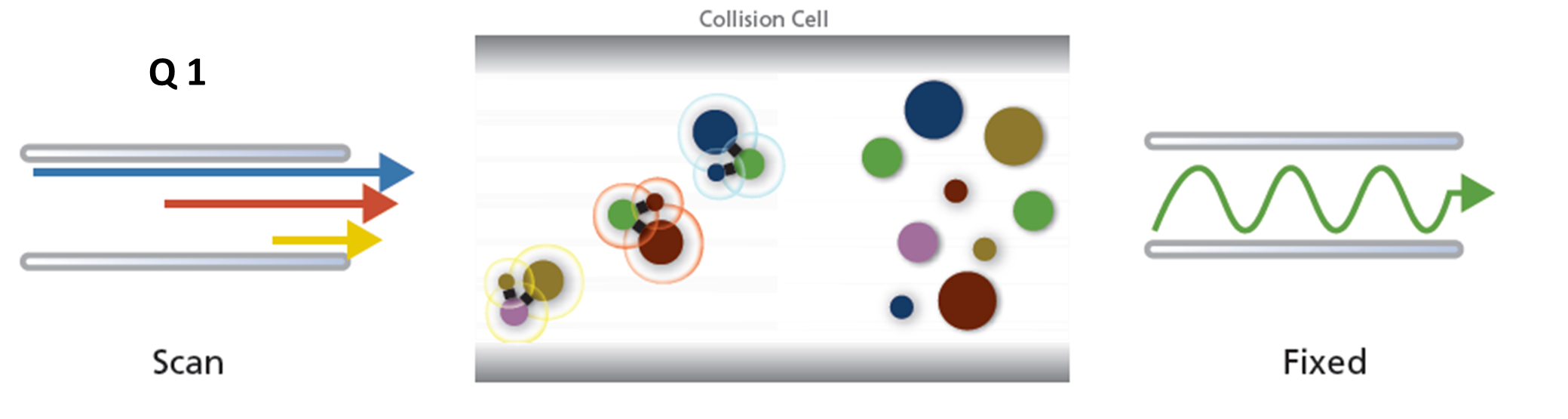 Precursor-Ionen-Scan