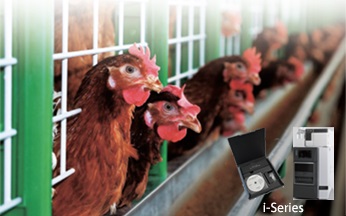 i-Series Food Saftey Analyzer - Kompaktes HPLC System für die Bestimmung von 24 synthetischen antimikrobiellen Substanzen in Fleisch