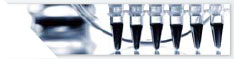 Hochsensitive Quantifizierung von Amlodipin in Plasma