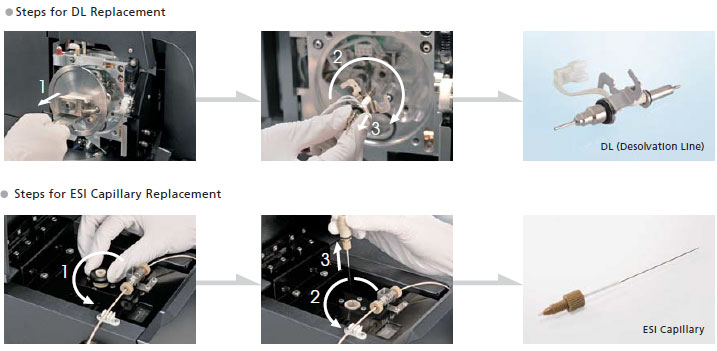 Austausch von Desolvation Line und ESI-Kapillare