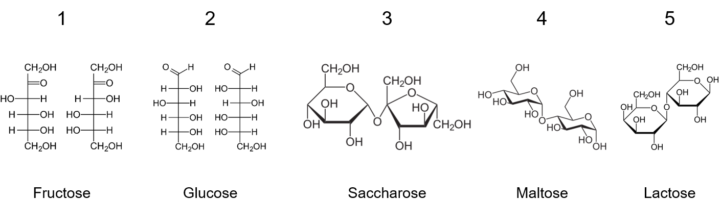 Fructose, Glucose, Saccharose, Maltose, Lactose